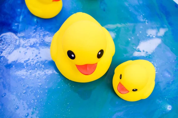 Patos de color amarillo brillante nadan en un estanque de epoxi. patitos de juguete hechos de caucho de calidad para juegos educativos seguros con niños. juguetes de baño para adultos y niños —  Fotos de Stock