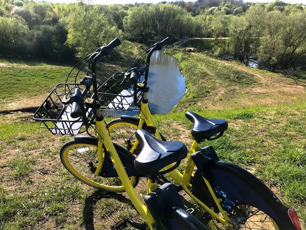 Na brzegu rzeki stoją dwa żółte rowery. jazda na nartach w mieście, w przyrodzie, obserwowanie wody i pływanie. zdrowy tryb życia, rower na świeżym powietrzu — Zdjęcie stockowe