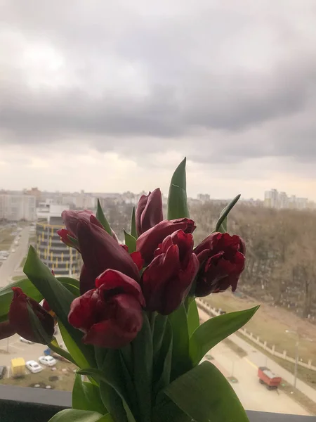 Buquê de tulipas vermelhas brilhantes são mantidos contra o céu. vista da janela. presentes para 8 de março. tulipas para presentes para uma mulher. contra o fundo de uma nuvem escura e um estacionamento redondo brilhante — Fotografia de Stock