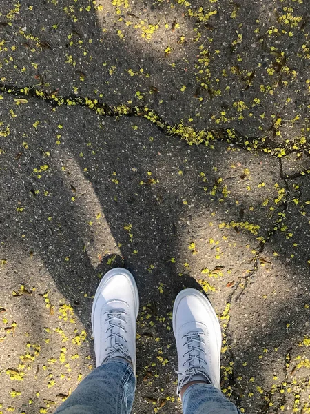 Άσφαλτο επιφάνεια με άνισες ρωγμές μέσα από τις οποίες μικρά κίτρινα λουλούδια κάνουν το δρόμο τους. στο δρόμο υπάρχουν πόδια σε μοντέρνα λευκά δερμάτινα sneakers. υπάρχει ένα φυσικό νησί στην πόλη — Φωτογραφία Αρχείου