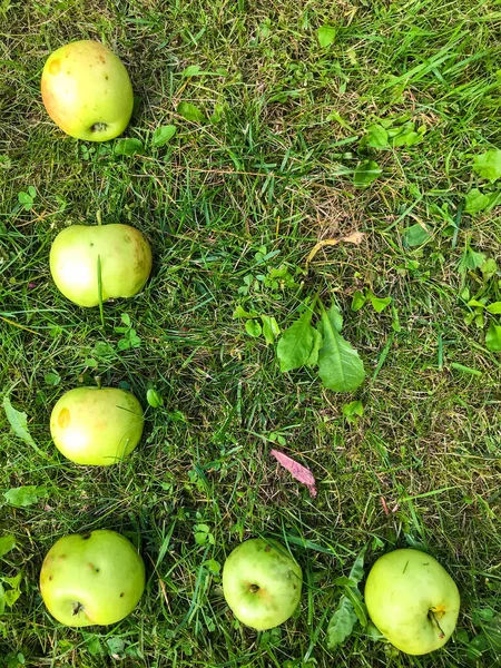 Bokstäver från äpplen. bokstaven L, äppelbokstäver, ordsammanställning. brev för ord, gratulationer, kreativ bild av ord. ätlig bokstav, grön, röda äpplen, frukt inskriptionen på grönt gräs — Stockfoto