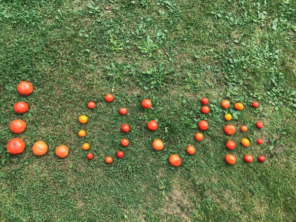 A word from a tomato, letters L, O, V, E. The word LOVE. Letters from red and yellow tomatoes on green grass. Healthy food, weight loss. Healthy habits, tomatoes for pasta and pizza — Stock Photo, Image