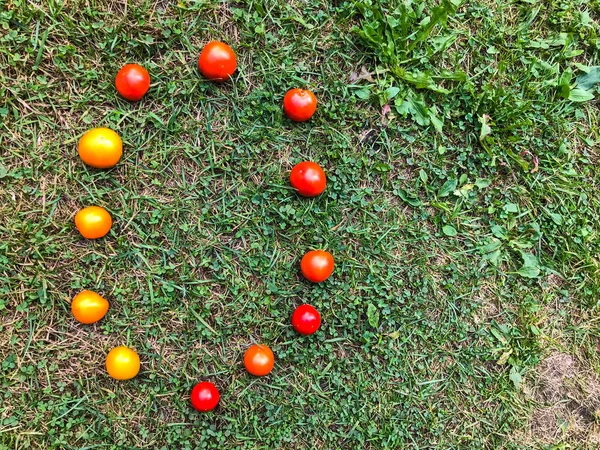 Letter made from tomato. inscription from vegetables. the letter O is lined with red and yellow, juicy and round tomatoes. Vitamin letter, on a background of herbs. creative writing of words — Stock Photo, Image