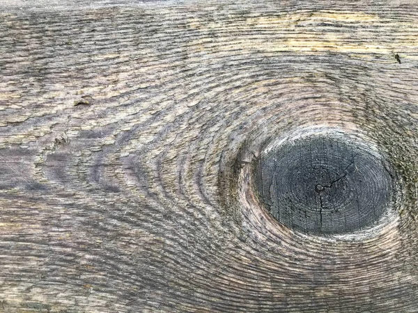 Textura de madeira. uma árvore com um círculo preto, semelhante à pena de um pavão. textura de madeira bonita, não uniforme e volumosa. fundo natural. madeira com cor cinza, amarela e preta — Fotografia de Stock