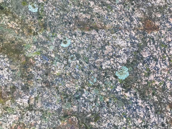 돌의 질감. 자연 재료, 곰팡이와 녹색 - 회색의 곰팡이가 있는 돌. 그 돌은 이질적 이고, 부피가 크고, 매끈하고, 매끈하다. 자연환경 — 스톡 사진