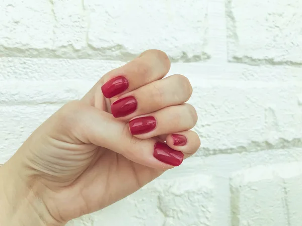 Manicura brillante, roja, brillante sobre un fondo blanco mate. pared de ladrillo de yeso para tomas de servicios de belleza de maestros. pared del salón de belleza. uñas rojas para chicas de moda —  Fotos de Stock