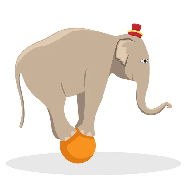 Circus trained elephant on the ball. Flat vector illustration.