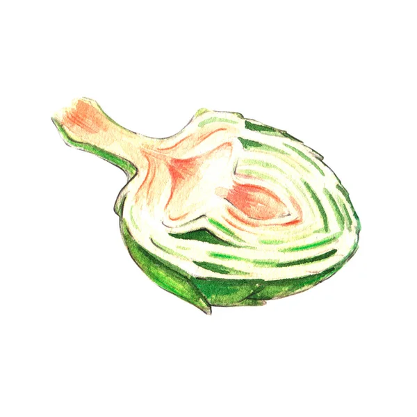 Artichoke Watercolor Illustration White Background — Stock Photo, Image