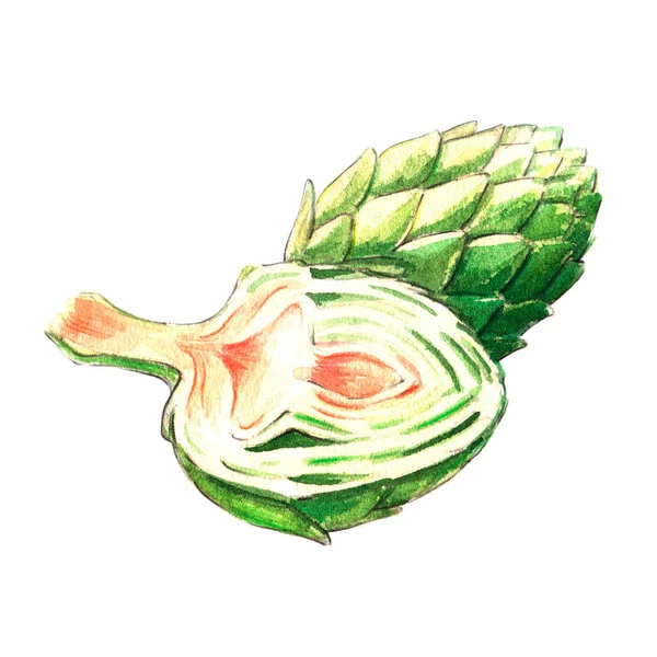 Artichoke Watercolor Illustration White Background — Stock Photo, Image