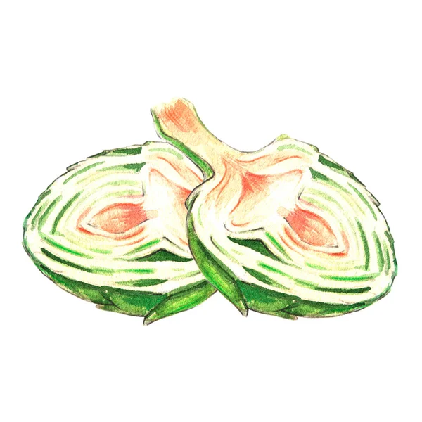 Artichoke Watercolor Illustration White Background — Stock Photo, Image