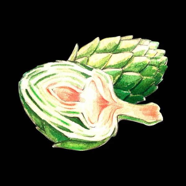 Artichoke Watercolor Illustration Black Background — Stock Photo, Image