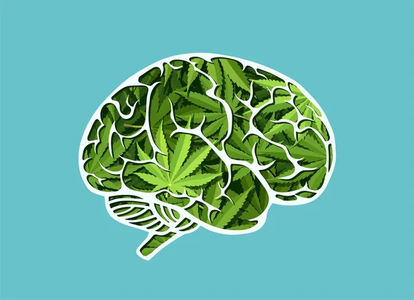 Vector Cerebro Humano Hecho Hojas Marihuana — Vector de stock