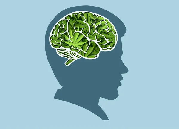 Vecteur Homme Cerveau Humain Fait Feuilles Marijuana — Image vectorielle