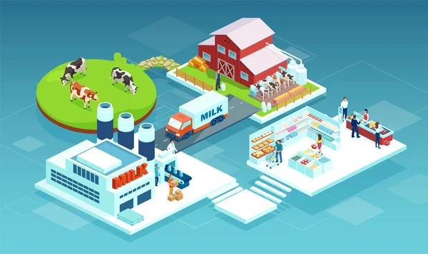 Süt üretim zincirinin vektörü süt çiftliğinden fabrikaya oradan da süpermarket raflarındaki tüketiciye.