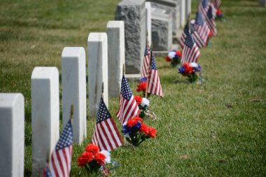 Fort Rosecrans National Cemetery at daytime clipart