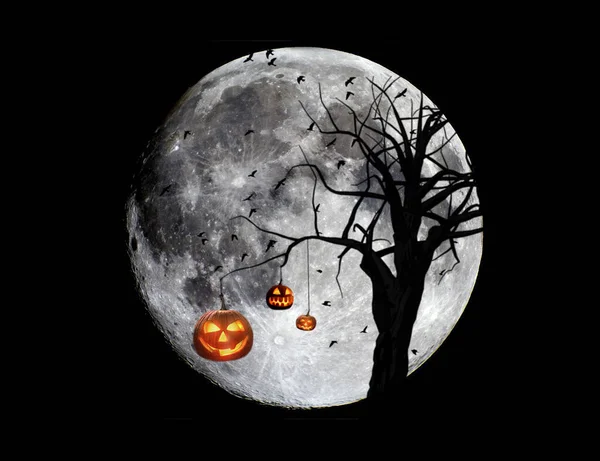 Pumpkins Hanging Old Dead Tree Frightening Night Backdrop Full Moon — Stock Photo, Image