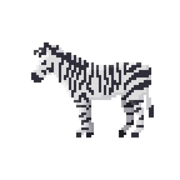 Pixel Zebra Isolerad Vit Bakgrund Vektorillustration — Stock vektor