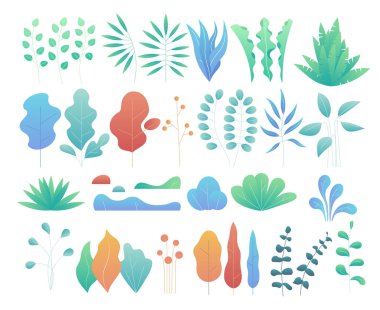 Modern düz bitkiler, ağaçlar ve çalılar vektör kümesi