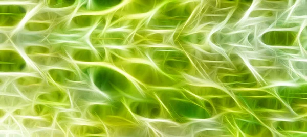 Green Yellow Abstract Background — Stock Photo, Image