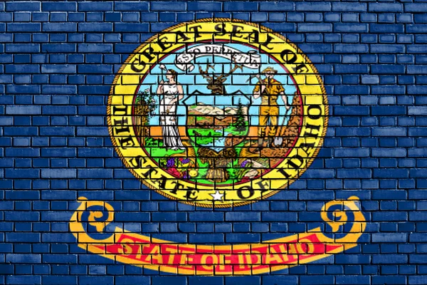 Flagge Von Idaho Auf Ziegelwand Gemalt — Stockfoto