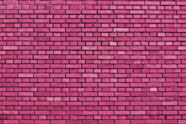 Fucsia Rosa Color Fondo Pared Ladrillo —  Fotos de Stock