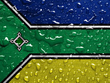 Damlalı Amapa Eyaleti bayrağı