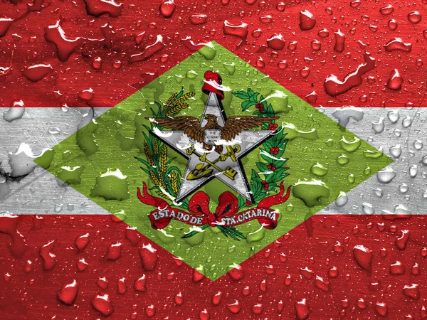 Flaga Stanu Santa Catarina Kroplami Deszczu — Zdjęcie stockowe