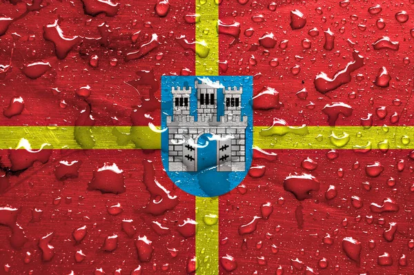 Vlajka Zhytomyr Oblast Kapkami Deště — Stock fotografie