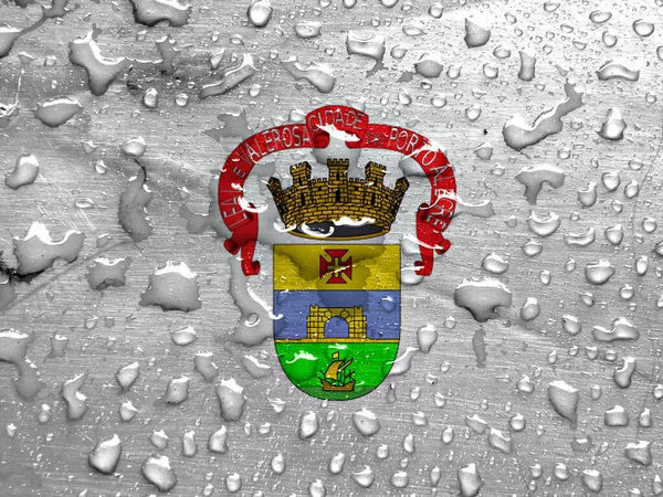 阿雷格里港的国旗 有雨滴 — 图库照片