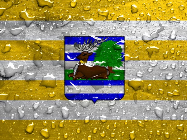 Vukovar Srijem县的国旗 有雨滴 — 图库照片