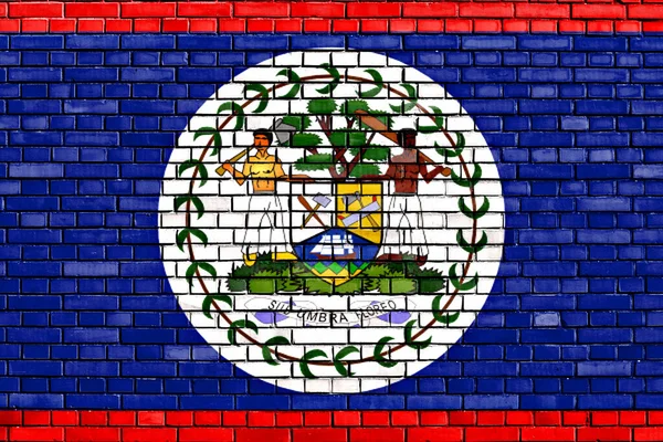 Bandeira Belize Pintada Parede Tijolo — Fotografia de Stock