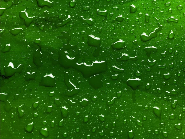 Water Drops Green Metallic Surface — Stock Photo, Image