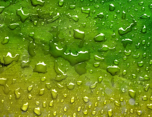Vízcseppek Zöld Fémfelületen — Stock Fotó