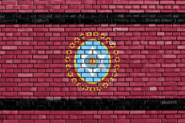 Tuğla duvara Salta Eyaleti bayrağı