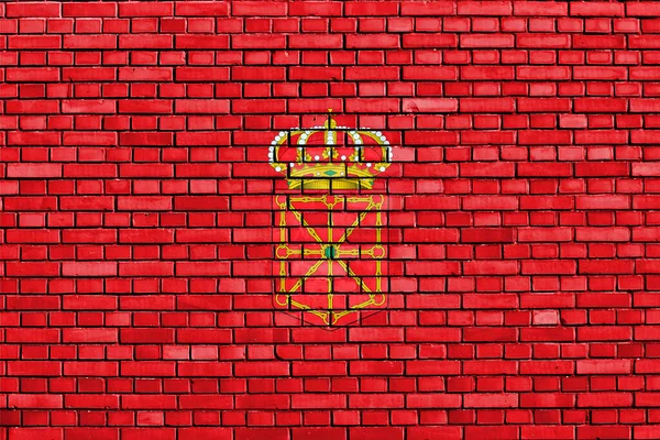 Flag Navarre Painted Brick Wall — Stock Photo, Image