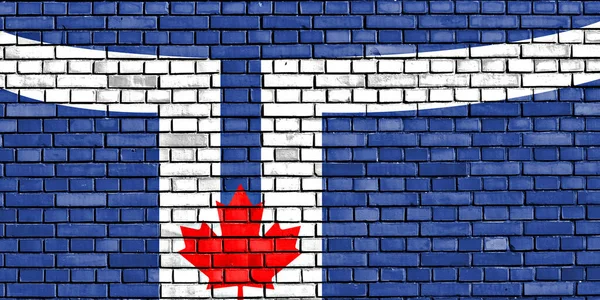 Флаг Торонто Расписанный Кирпичной Стене — стоковое фото