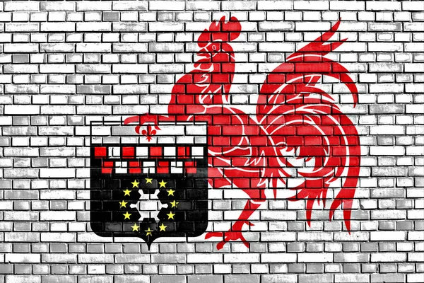 Flag Charleroi Painted Brick Wall — Stock Photo, Image