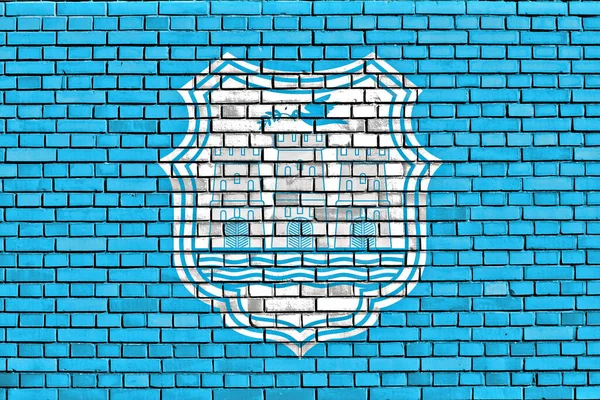 Vlajky Novi Sad Namalované Cihlové Zdi — Stock fotografie
