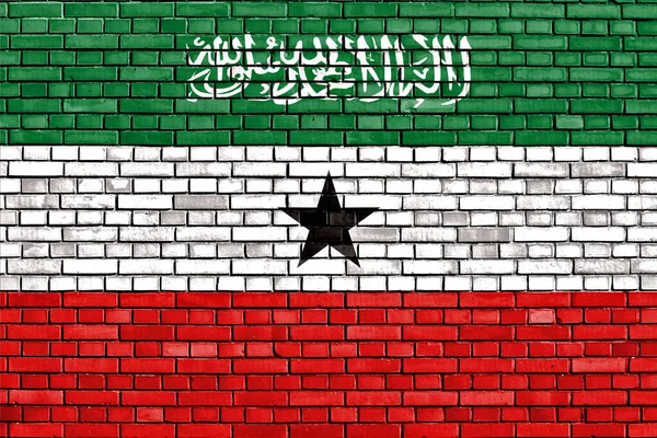 涂在砖墙上的索马里兰国旗 — 图库照片