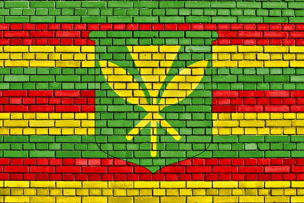 Bandiera Dei Nativi Hawaiani Dipinta Muro Mattoni — Foto Stock