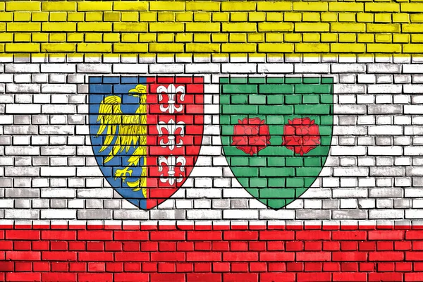 Flag Bielsko Biala Painted Brick Wall — Stock Photo, Image