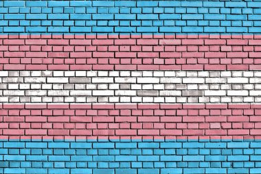 Transgender Pride flag painted on brick wall clipart