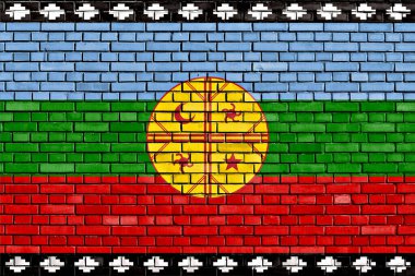 Duvara boyanmış Mapuche bayrağı