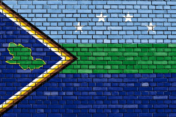 Прапор Штату Дельта Амакуро Намальований Цегляній Стіні — стокове фото