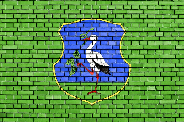 Vlajka Okresu Heves Namalovaná Cihlové Zdi — Stock fotografie