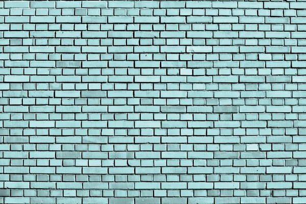 Limpet Shell Blue Brick Wall Background — 图库照片