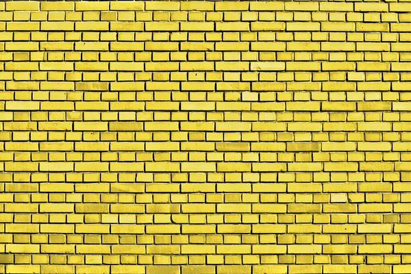 Butterblume Gelb Backstein Wand Hintergrund — Stockfoto