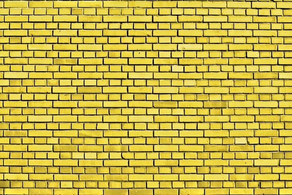 Düğünçiçeği sarısı tuğla duvar arkaplanı