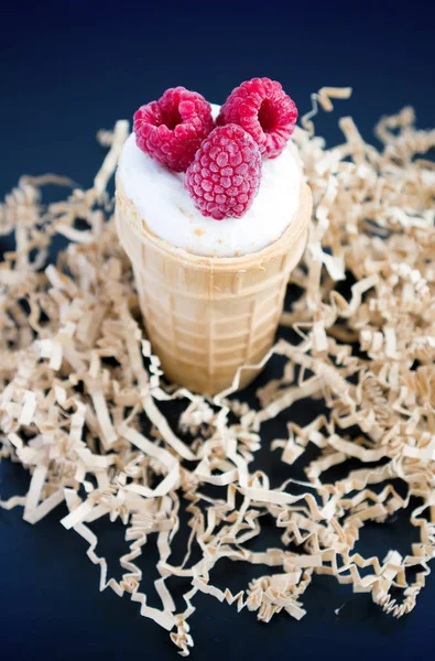 Gelato Con Lampone Cono Cialda Nero — Foto Stock