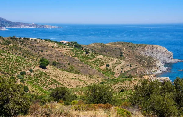 Cerbere 巴纽尔斯滨海 地中海 比利牛斯山脉 Orientales 海洋保护区的岩石海岸 — 图库照片